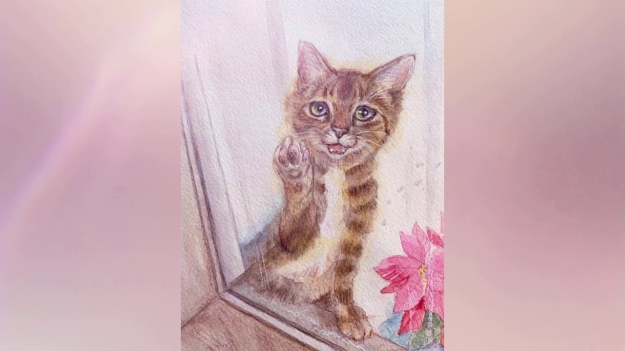 1,000匹の絆プロジェクト」犬猫共生施設の実現への道｜クラウドファン 