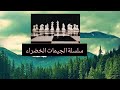 سلسلة الجيمات الخضراء 13 هجوم كاسح