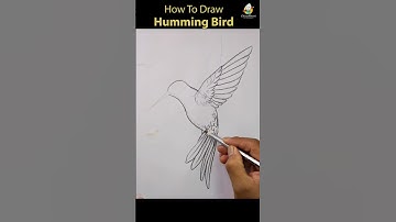 How To draw Humming birds pencil shading #shorts #youtubeshorts #hummingbird #drawing #viral