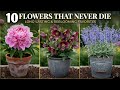 Plant These 10 Long-Lasting Perennials Once And Enjoy Beautiful Flowers EVERY Year