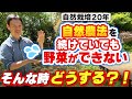 【自然栽培349】自然栽培で栽培が上手くいかない時は、○○をしよう🌈