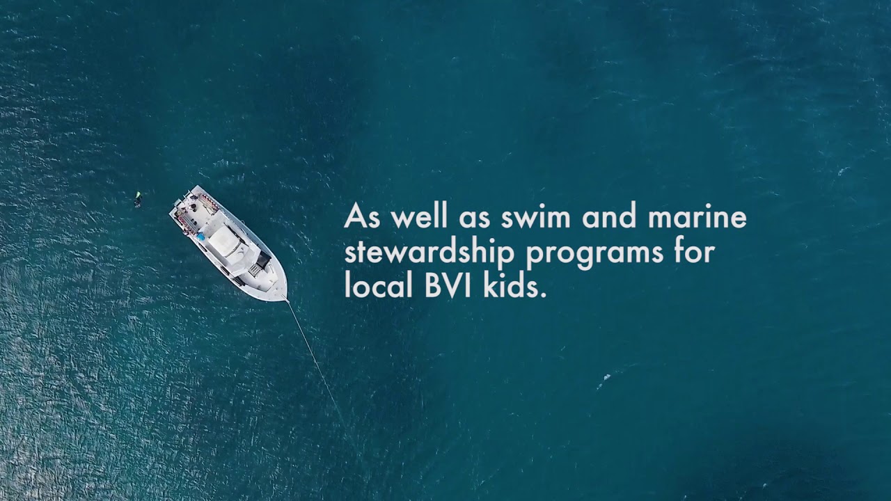 Dive The BVI Art Reef