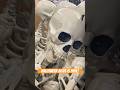 Halloween 2025 Is Here AT HOME Halloween Obsessed Decoration Short Shopping Skeleton Short Halloween 2025 Is Here AT HOME Halloween Obsessed Decoration Short Shopping Skeleton Short