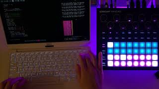 Celebrity Coding music: Controlling Circuit Tracks with Sonic Pi Wealth