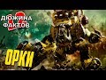 12 Фактов Орки / Warhammer 40000