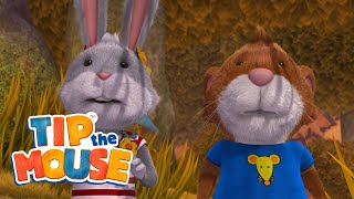 In Search Of Teddy  Tip The Mouse