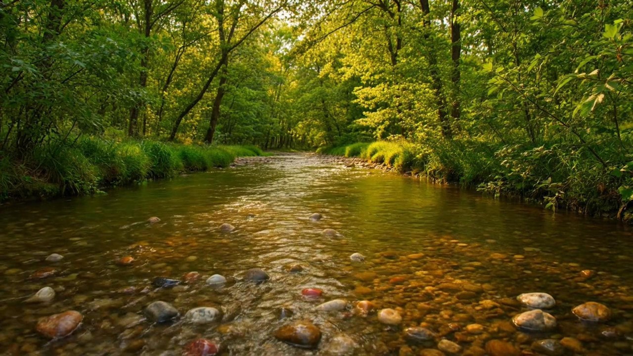 Serene Deep Ambient Playlist in Rainy Forest Cabin for Reading, Study & Focus 🌧️🌲🎧