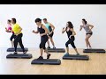 Aerobics stepper workout for weight loss  stamina build  cardio exercise  gym workout by vishal