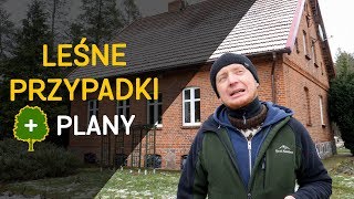 Leśne historie, mrówkolew i o tym co dalej - o Lesie #33