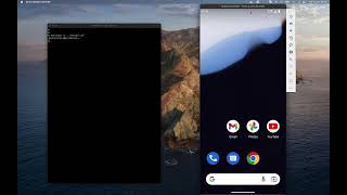 Notified CLI Demo