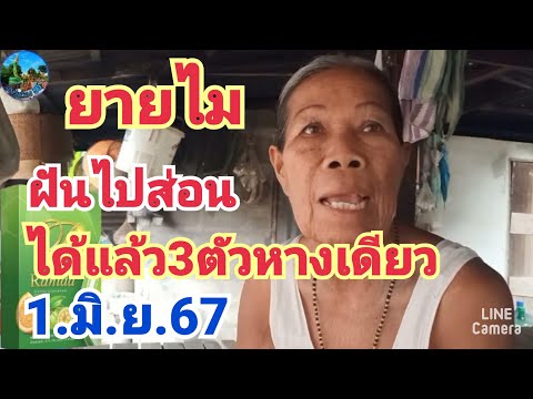 ยายไม#ฝันว่าไปส่อน#ได้แล้ว3ตัวหางเดียว#1.มิ.ย.67