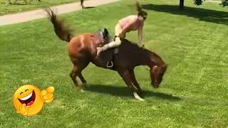 Animais de Fazenda espertos e engraçado. Parte 15,  Vão te Fazer Rir Sem Parar!