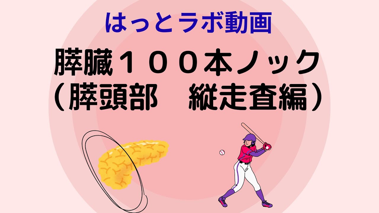 膵臓１００本ノック（膵頭部　縦走査編）＃超音波検査　＃腹部エコー ＃膵臓