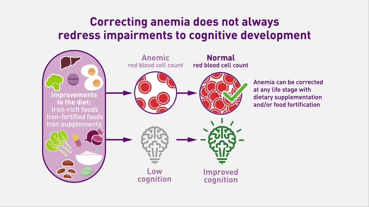Meeting the Iron Needs of Young Children YouTube