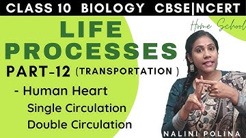 Life Processes class 10 Biology | Transportation | Hearts|Part -12