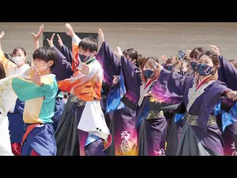 「総踊り2」テームズ会場１日目　秦野元気祭り2022～春の陣～　2022/04/09（土）