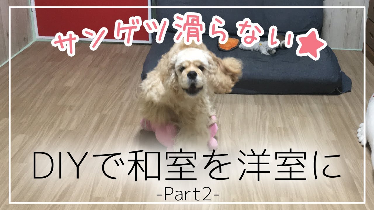 Diy 和室を洋室へ 畳をフローリング風に Part2 サンゲツ ノンスキッド編 コッカーかんたさんのお部屋改造計画 Youtube