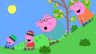 Peppa Pig Gets A Brand New Scooter | Peppa Pig Asia 🐽 Peppa Pig English Episodes