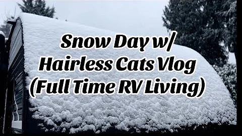 Video 7824021: sphynx, hairless cat, snow kitty