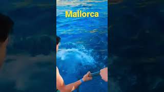 Swim Stop Mallorca Island Crystal Clear Water Paradise Santa Ponsa Boat Trip