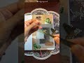 asmr vintage collage journal with me 🍄🍀☘️ #collagejournal #aestheticjournal #scrapbooking