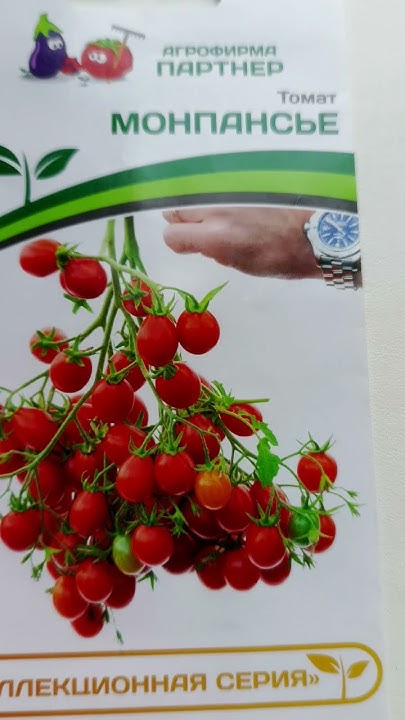 Самый лучший томат в мире 2025 г.! Высокоурожайный, вкусный и сладкий ...