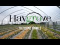 HAYGROVE TELESCOPICS