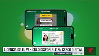Vehicle licenses will be available in the CESCO digital application.