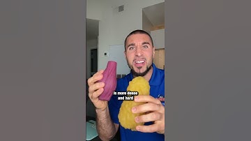 How To Lose Fat And Build Muscle