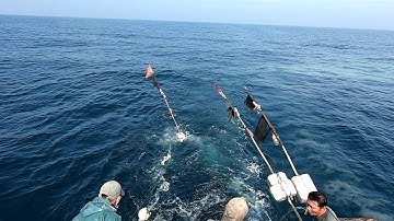 Lưới quét , thả lưới đánh bắt cá đổng, cá lưỡng giữa vùng biển ngoài khơi. Không mot chút gió