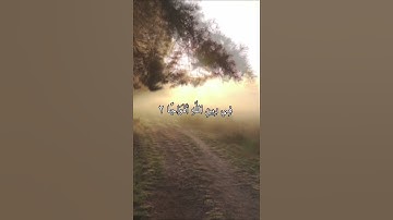 سورة النصر القارئ ماهر المعيقلي #القران #quran #استغفر_الله #القرآن #القرآن_الكريم #راحة_نفسية
