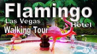 4k HDR🍎Flamingo Hotel,las Vegas walking tour #flamingo #lasvegas 