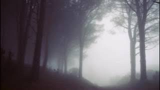 tilekid - I don't know, it's just been here all the time