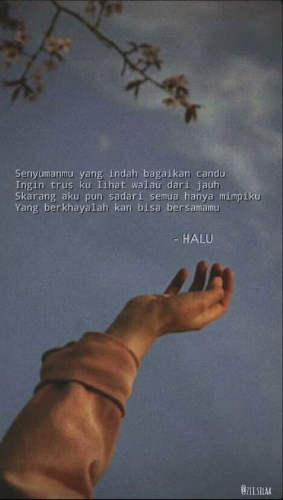 30 seconds of Feby Putri's song - Halu | Story Wa