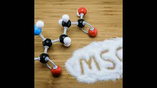 Myth Busting: Is MSG in Your Food Safe to Consume?