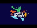 Introducing the wild escape  art fund