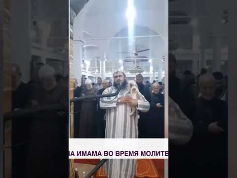 Кот прыгнул на имама В Алжире Algeria Ramadan