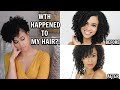 THE TRUTH: What Happened, Why I Big Chopped Again + New Hair Goals!