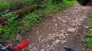 Celebrity Scouting for Trail 5- Trip 8: ep 2 Profile