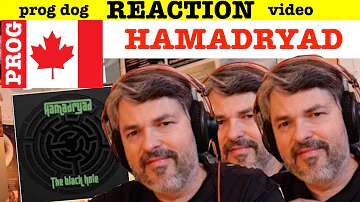 Canadian Prog Hamadryad "Amora Demonis 2017" The Black Hole  (reaction episode 421)