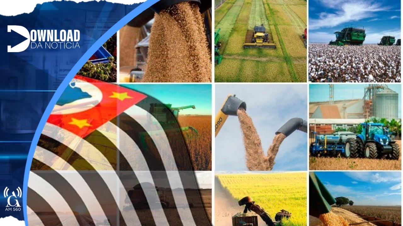AGRO SUPERA 40% DAS EXPORTAÇÕES E CONSOLIDA FORÇA NA ECONOMIA PAULISTA