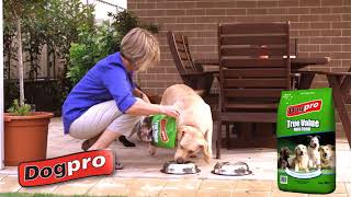 Dogpro True Value 15 sec