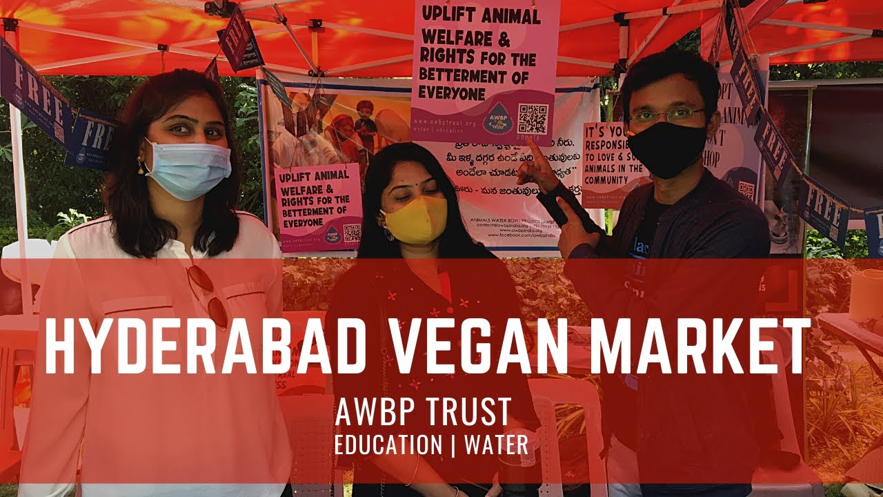AWBP Trust in Hyderabad Vegan Market| Education | Water Bowl Distribution| AWBP Trust