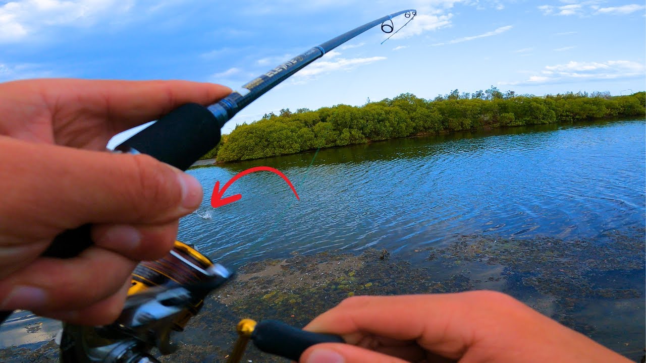 Я НАШЕЛ ОЗЕРО, ПОЛНОЕ ГИГАНТСКОЙ СЕЛЬДИ!!