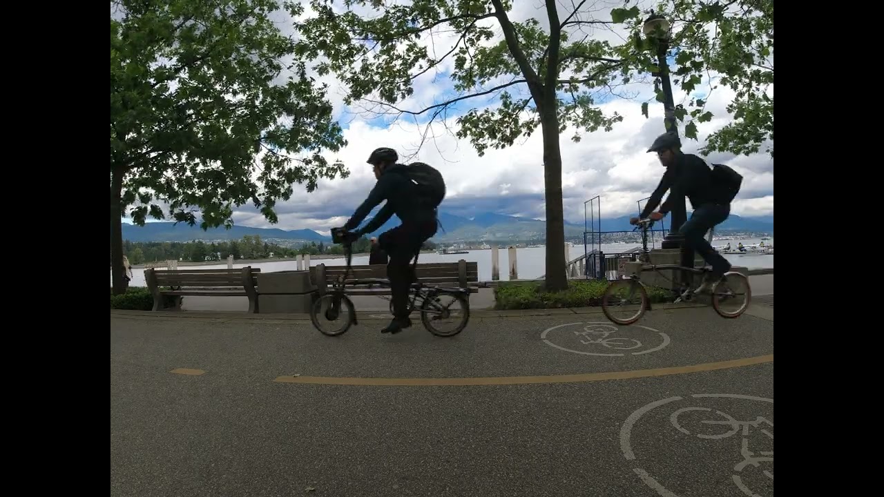 Safe and Sound  - enjoying the view in Harbour Green Park