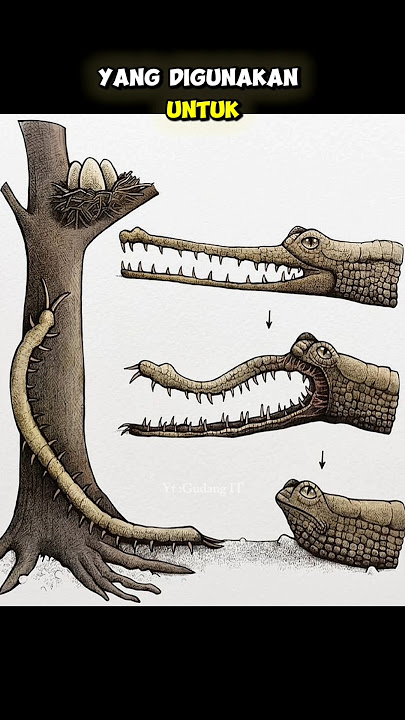 ANIMAL FACTS YOU DIDN'T KNOW part 17 #shorts #gudangit