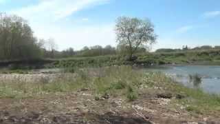 Daddy's Home Karen Peck & New River Net Worth