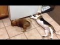 Team Work