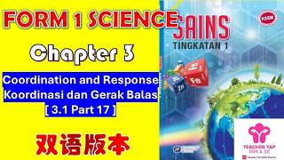 Form 1 Science Chapter 3 | Coordination and Response 中文讲解 | KSSM Exam Tips【Part 3.1】PART 17