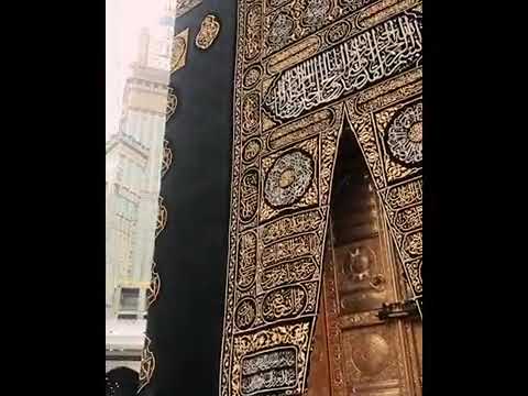 رقت عيناي بدون موسيقى ماهر زين حالات واتس آب المولد النبوي الشريف المولد النبوي الشريف حالات